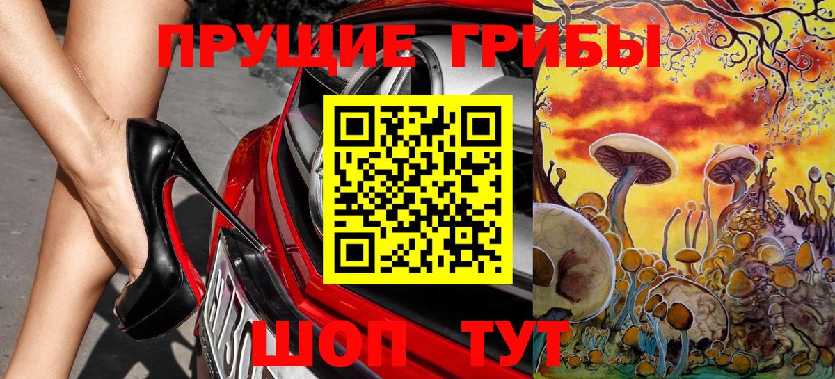 Галлюциногенные грибы Cubensis  Вход с VPN  Псилоцибиновые грибы GOLDEN TEACHER  Владикавказ 