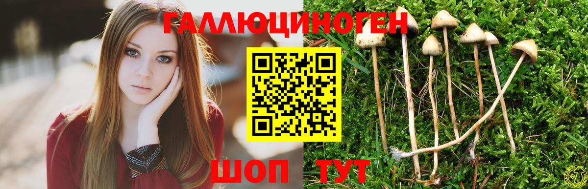 APVP СК   Вход с VPN  Каннабис  Каннабис  Владикавказ  Купить  Меф кристаллы  Гашиш  Кетамин 